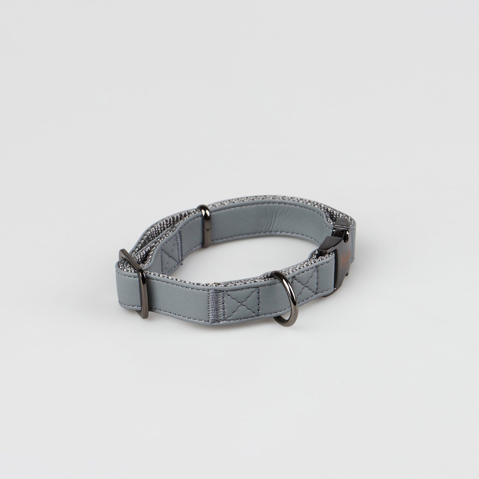 Fetching Ware Cody in Gunmetal Collars