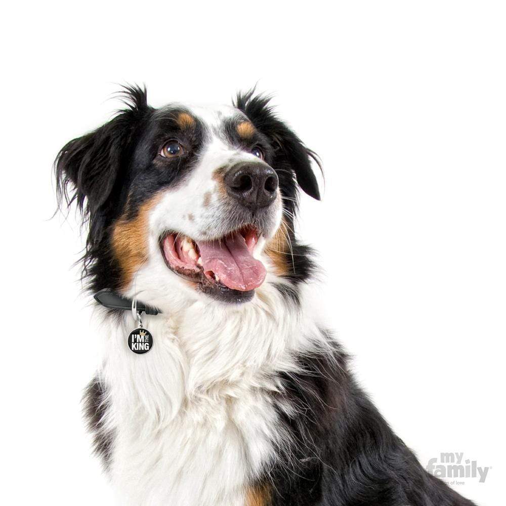 My Family I'm the King Dog I.D. Tags - 3B