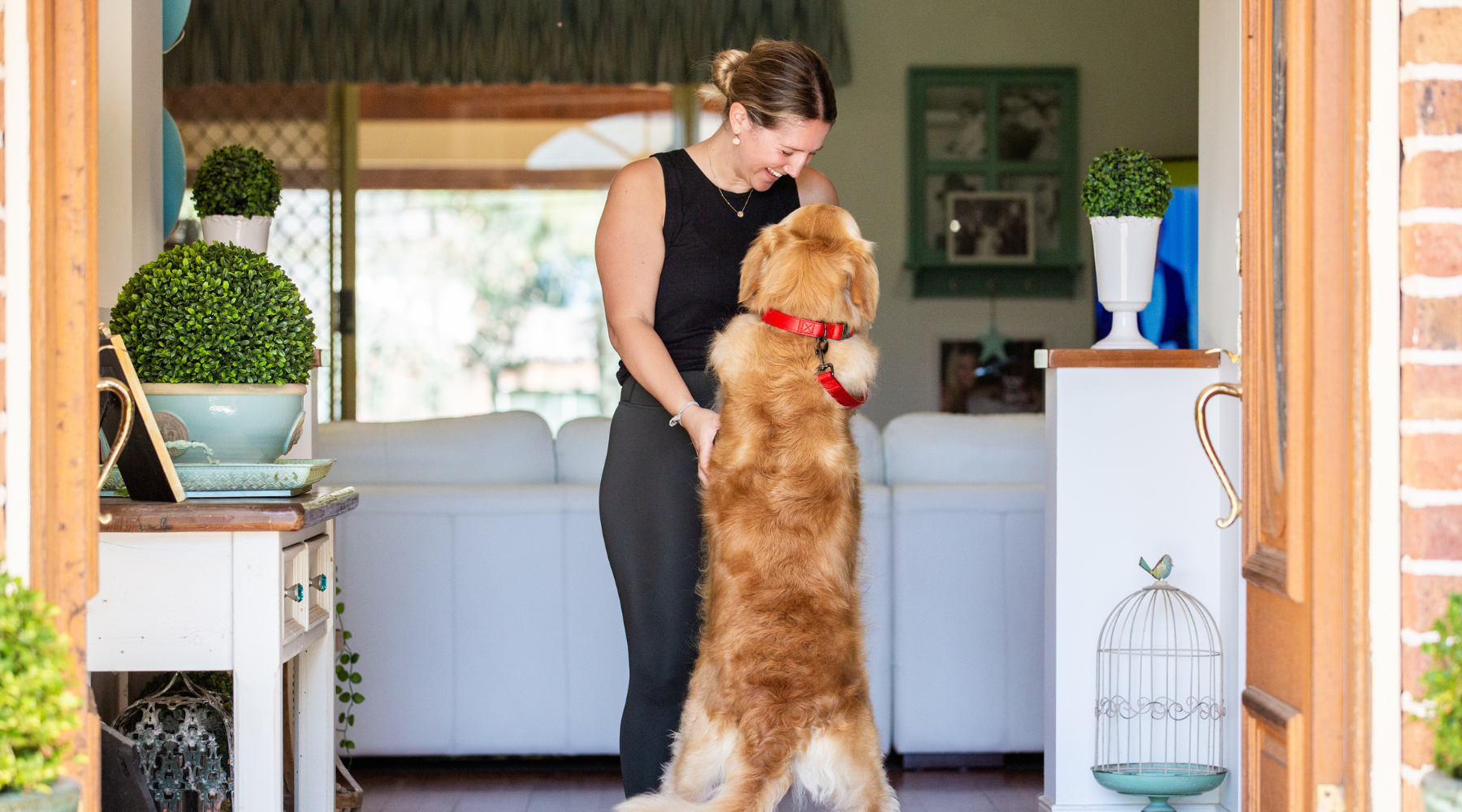 Celebrating International Friendship Day with Man's or Women's Best Friend