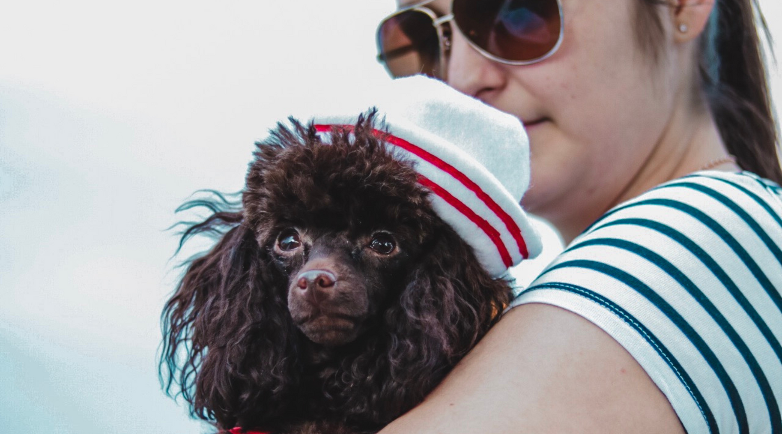 5 things to consider before bringing home a pet