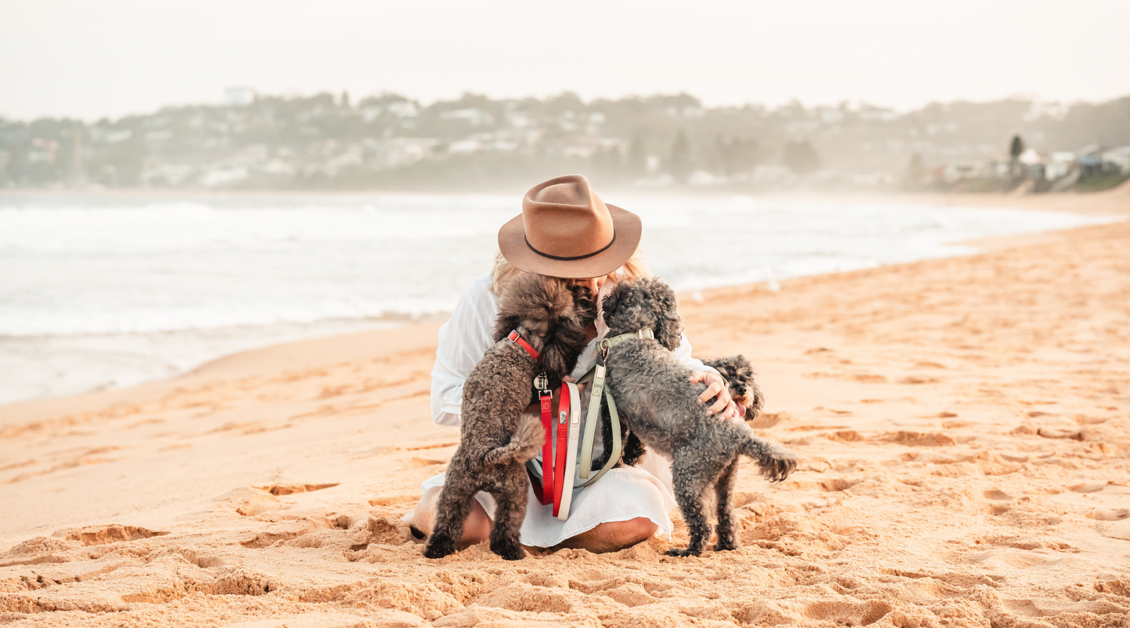 Be your dog's favourite person