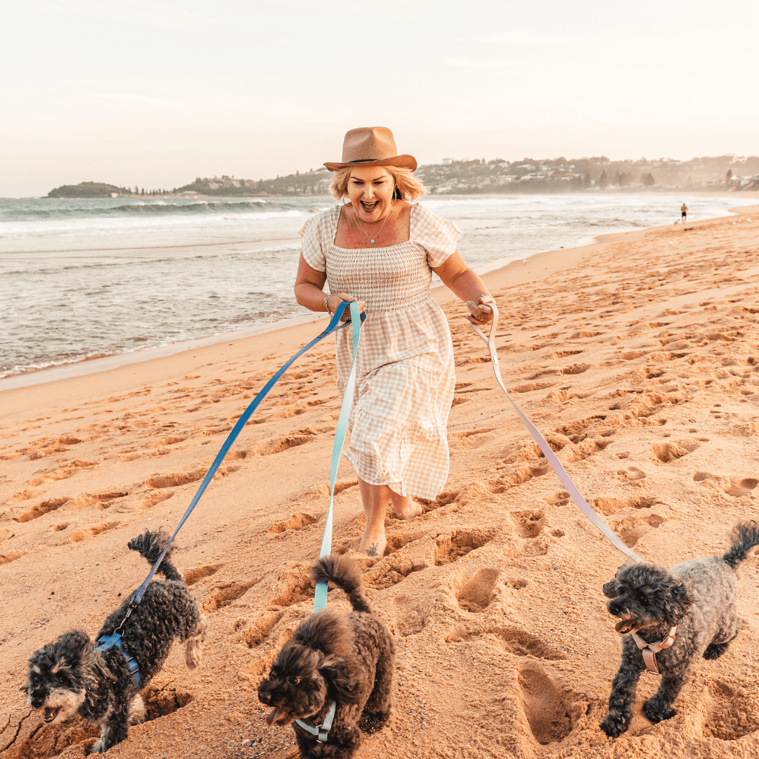 Three dogs and their owner having fun in their Life Style Brand of Dog brand gear