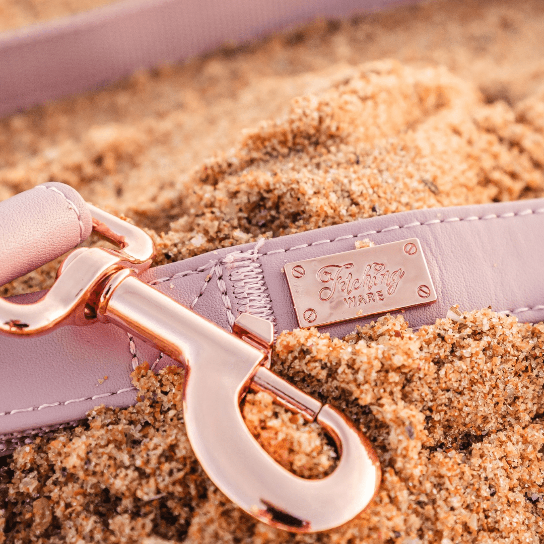 Dog Leads in matching sets with collars