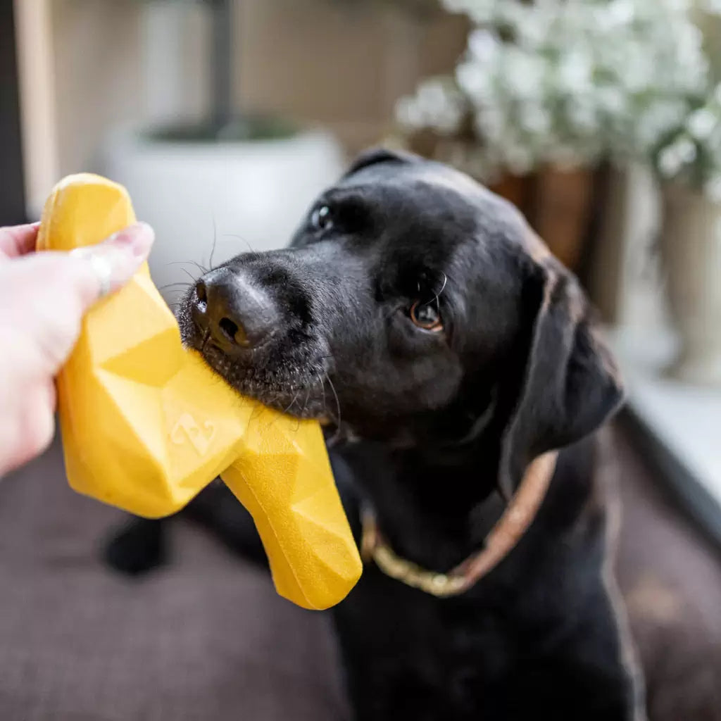 Zippy Paws ZippyTuff+ Lightning Bolt Dog Toys
