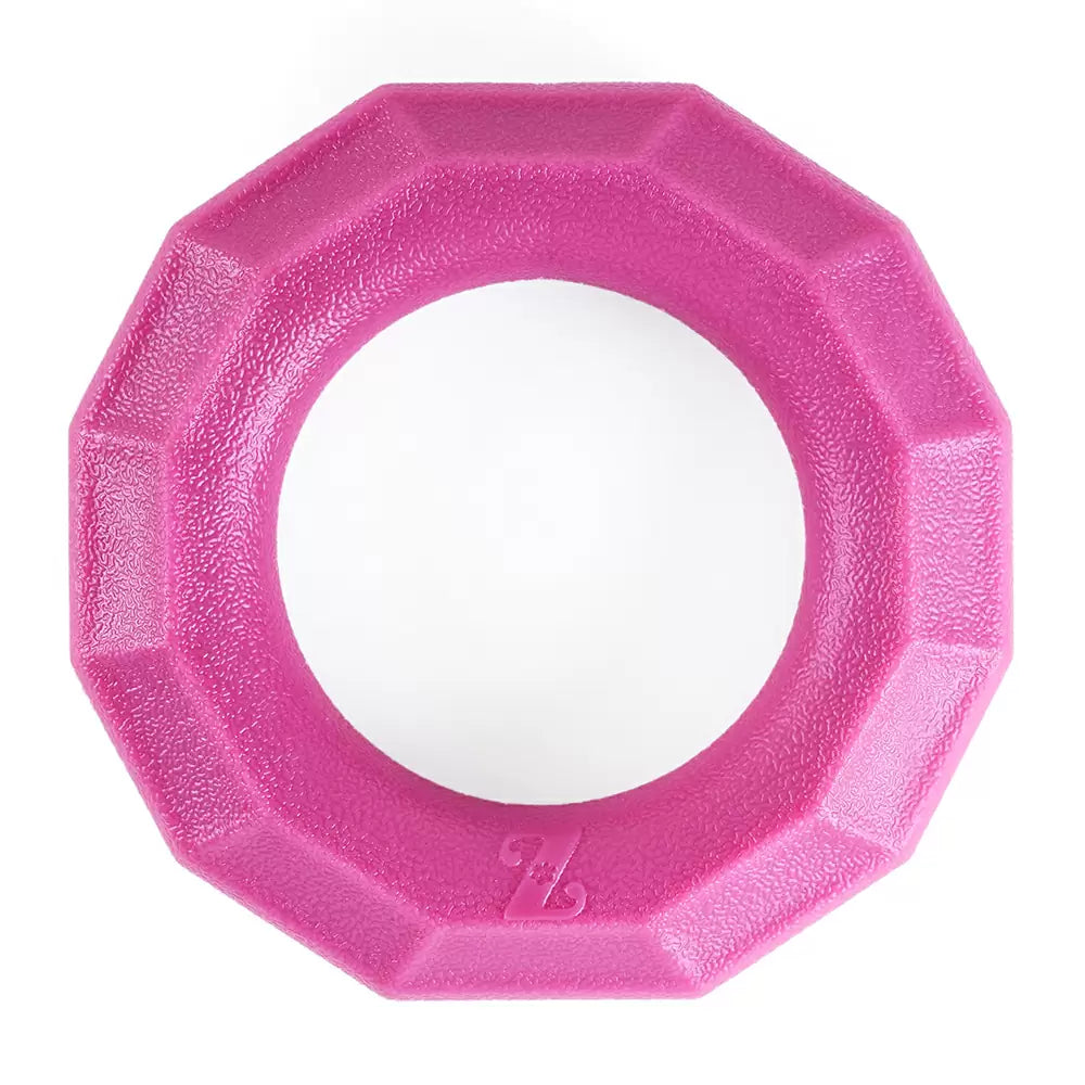 Zippy Paws ZippyTuff+ Magenta Ring Dog Toys