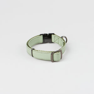Fetching Ware Brittany in Gunmetal Collars