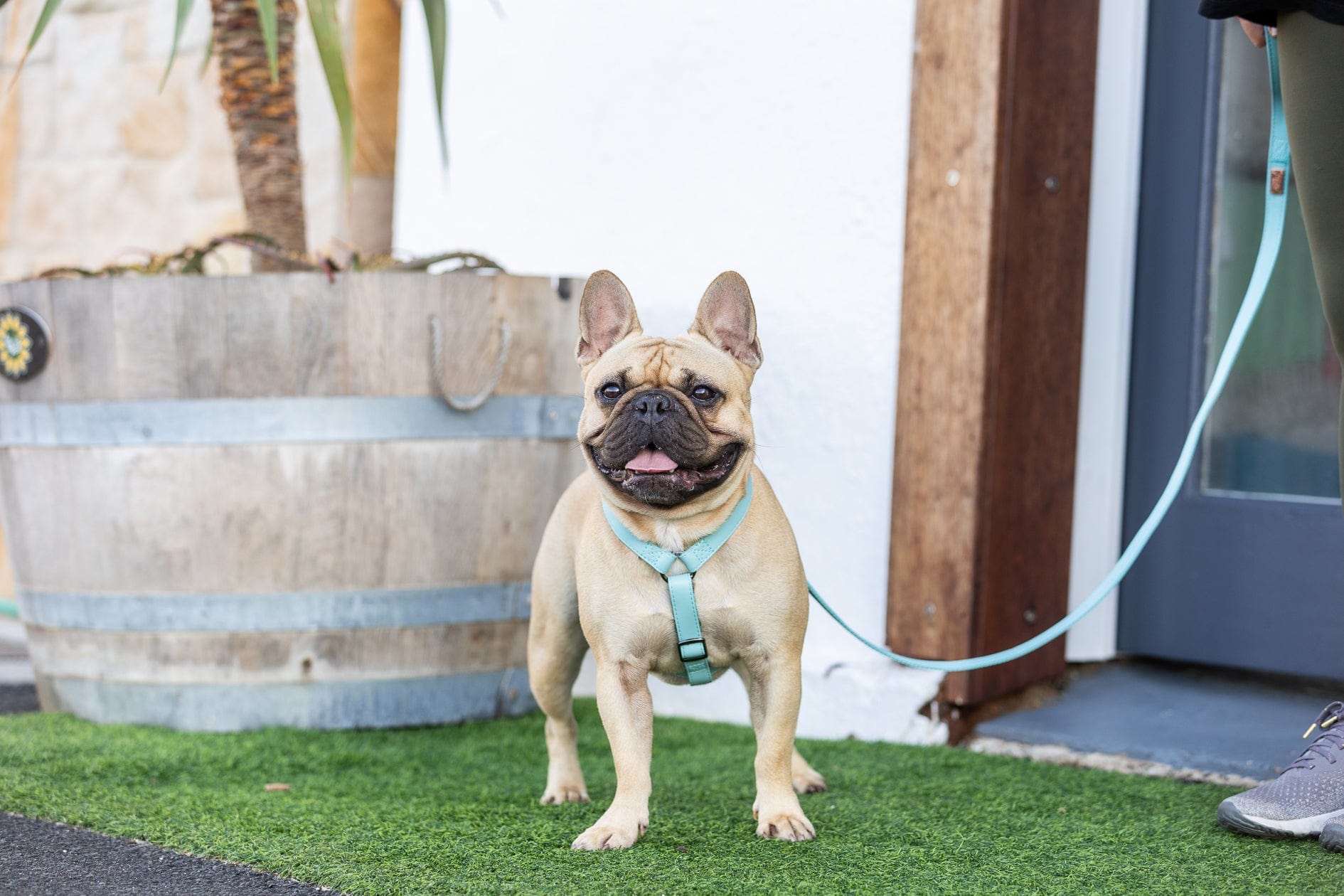 Fetching Ware Capri in Gunmetal Harness Harness