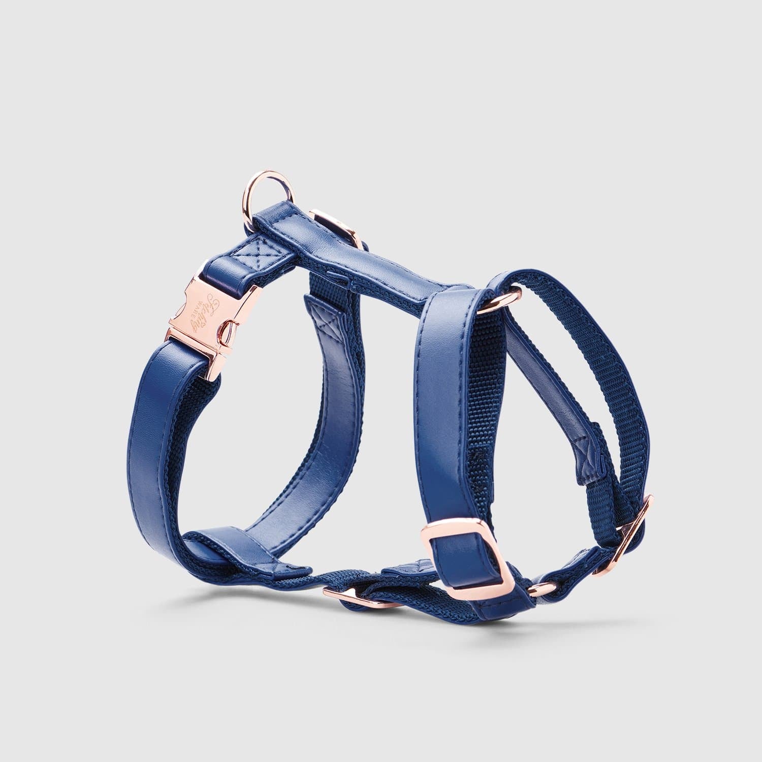 Fetching Ware Glacier Blue Harness