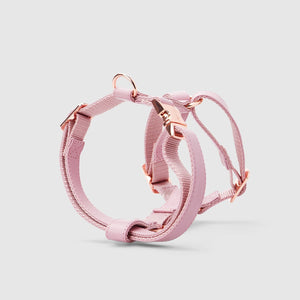 Fetching Ware Rosa in Rose Gold Harness