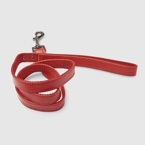 Fetching Ware Tuscany Lead w/ Gunmetal Lead