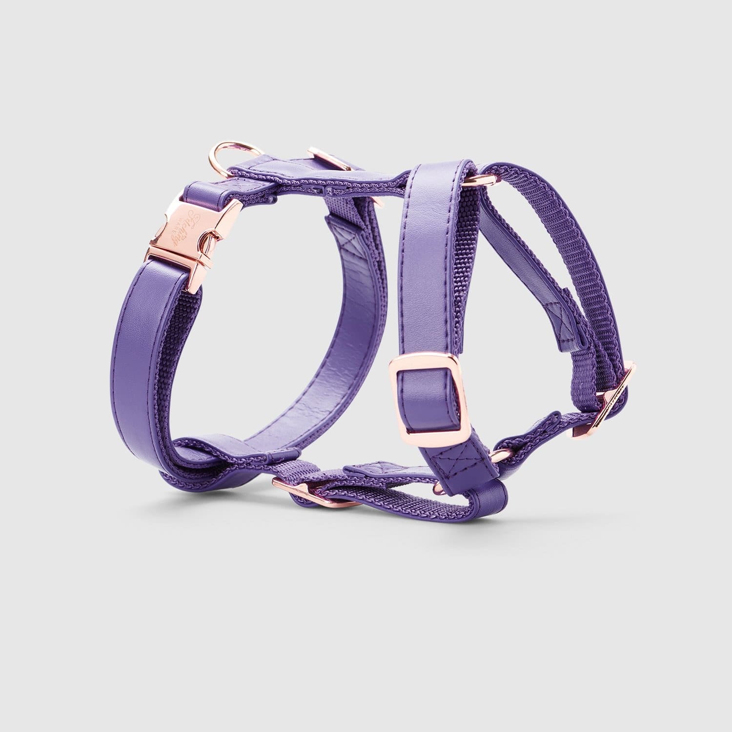 Fetching Ware Valentina in Rose Gold Harness