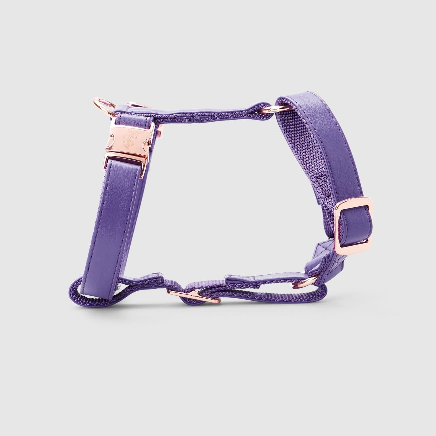 Fetching Ware Valentina in Rose Gold Harness