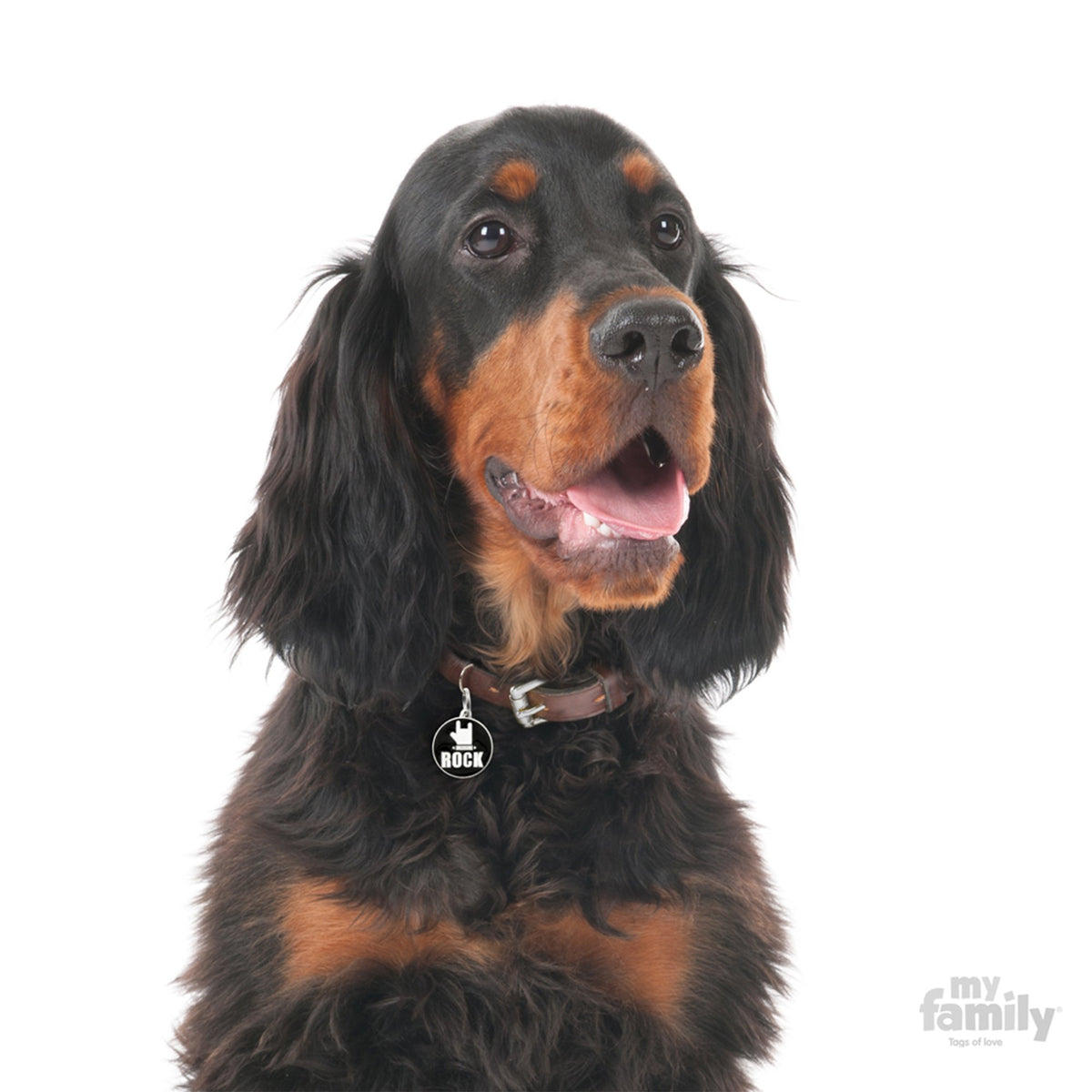 My Family Charms Rock Pet I.D. TAG