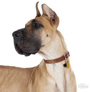 My Family Friends Fawn Great Dane Dog I.D. Tag