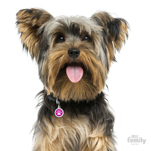 My Family Glam Fuchsia Paw Dog I.D. Tags - 2B