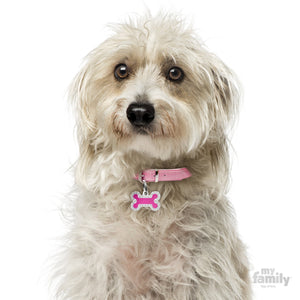 My Family Glam Fuchsia Small Bone Dog I.D. Tag