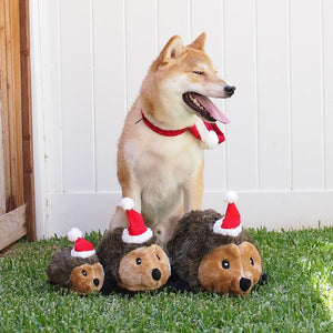 Zippy Paws Holiday Hedgehog - Small Dog Toys