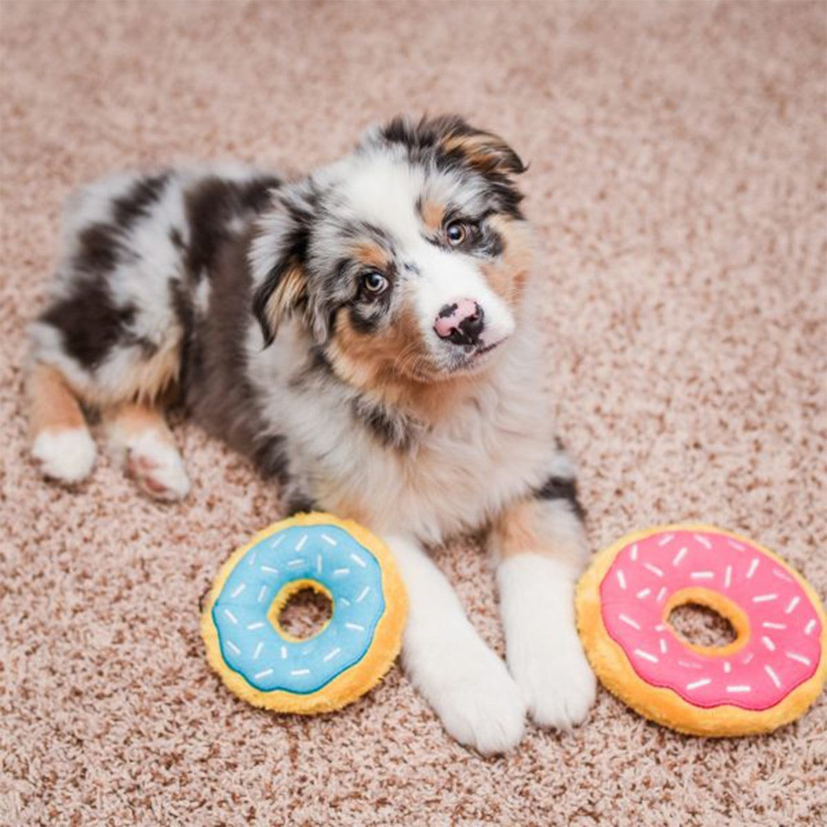 Zippy Paws Mini Donutz - Blueberry