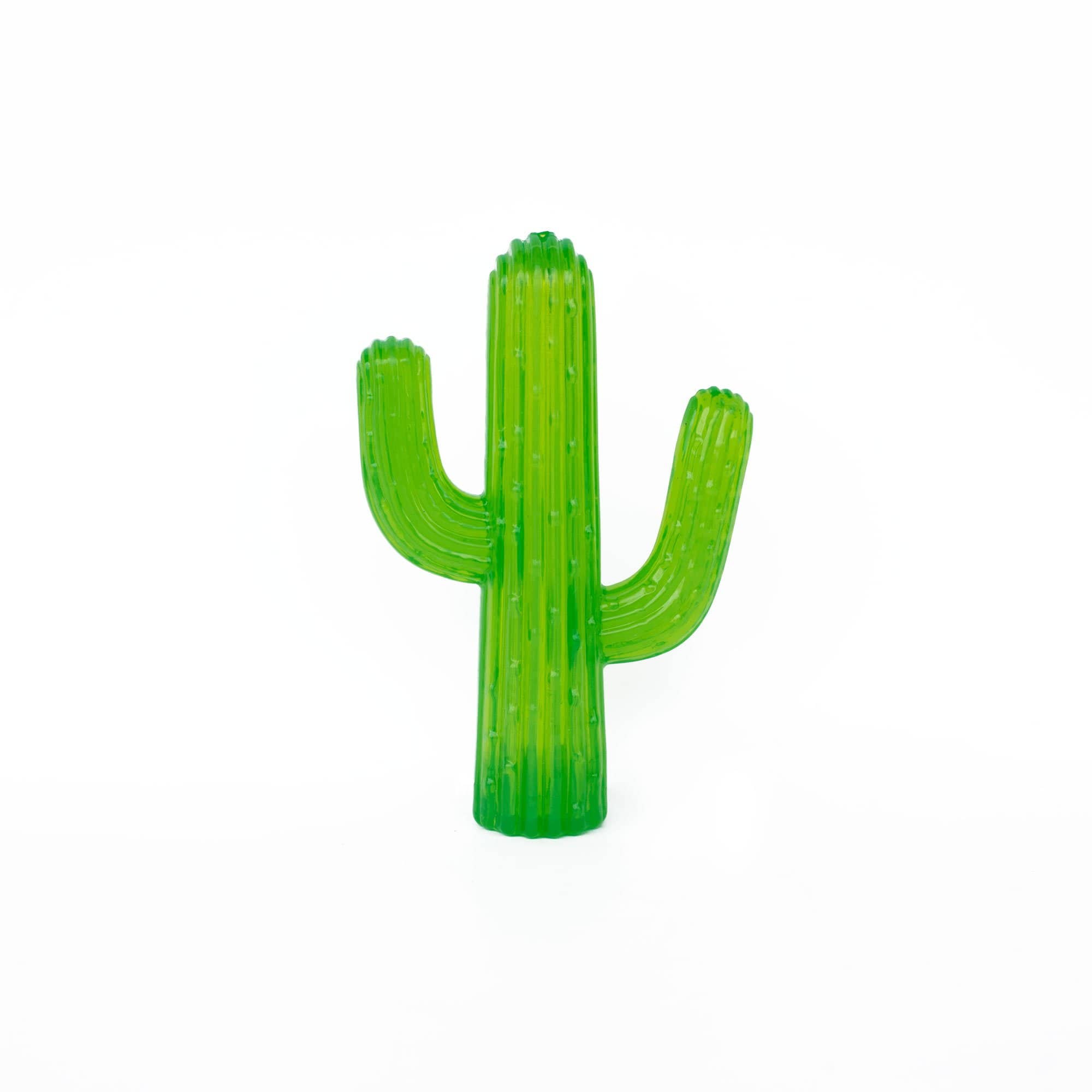 ZippyTuff Cactus